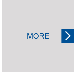 ���ֵ�����Ʒչʾ����